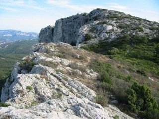 img_8145.jpg