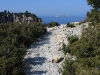 img_5705.jpg